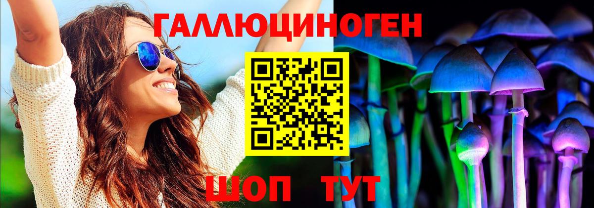 Моздок  Псилоцибиновые грибы мицелий  Вход с VPN  Галлюциногенные грибы мухоморы 